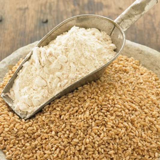 Wheat Flour